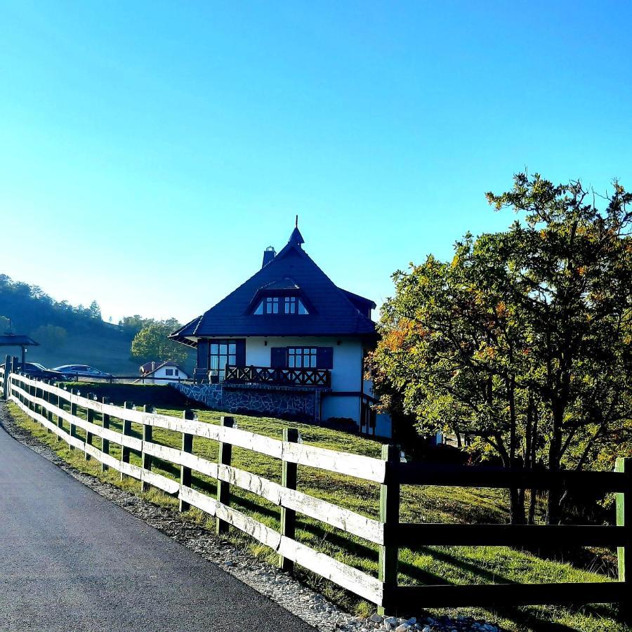 Casa Mila Zlatibor Villa Екстериор снимка