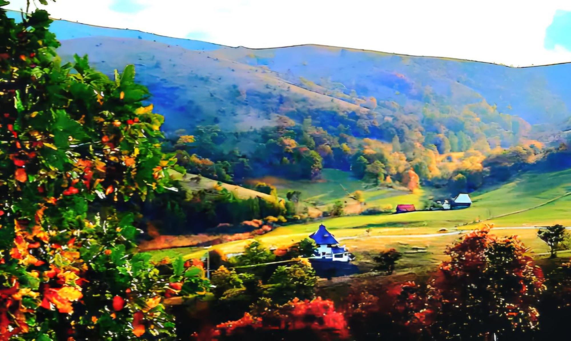 Casa Mila Zlatibor Villa Екстериор снимка